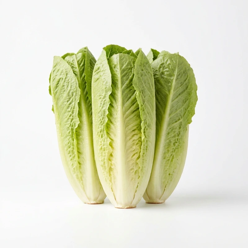 Romaine Hearts 6ct