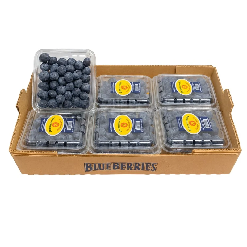 Blueberries 12x6oz